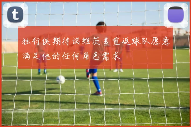 独行侠期待诺维茨基重返球队愿意满足他的任何角色需求