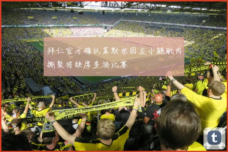 拜仁官方确认莱默尔因左小腿肌肉撕裂将缺席多场比赛