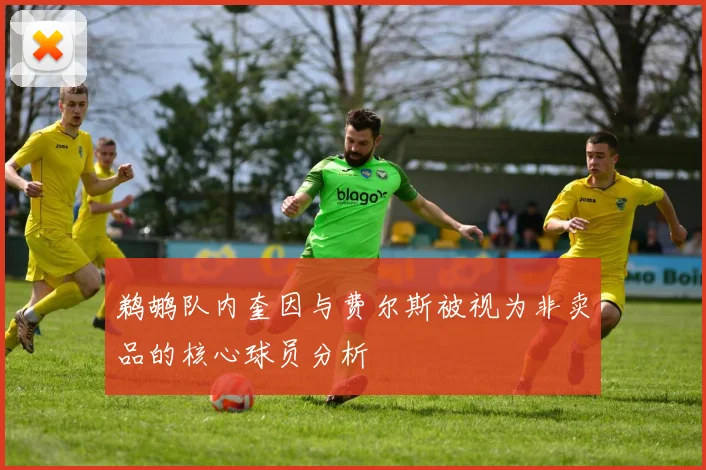 鹈鹕队内奎因与费尔斯被视为非卖品的核心球员分析