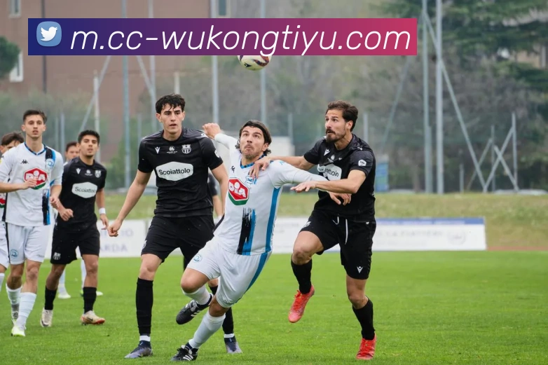 悟空体育平台生态图